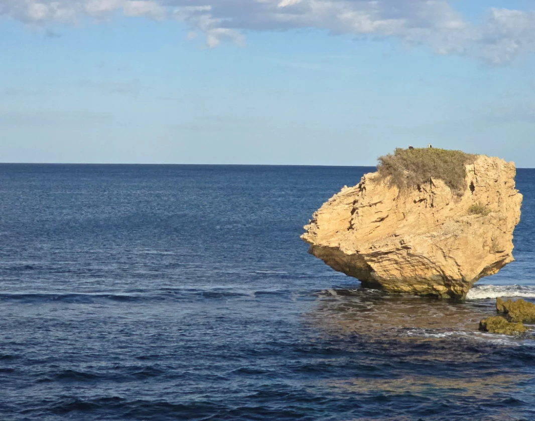 Mushroom-Rock_Cape-Peron_Rockingham_Tracy-Lindsey_OTBTWA-crop-1066x840-webp
